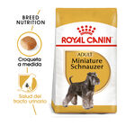 Royal Canin Adult Miniature Schnauzer pienso para perros, , large image number null