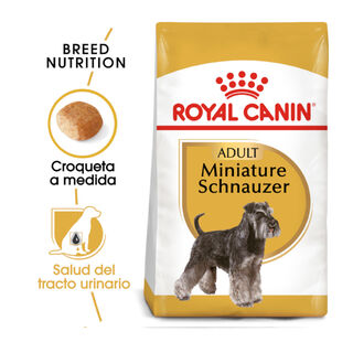 Royal Canin Adult Miniature Schnauzer pienso para perros