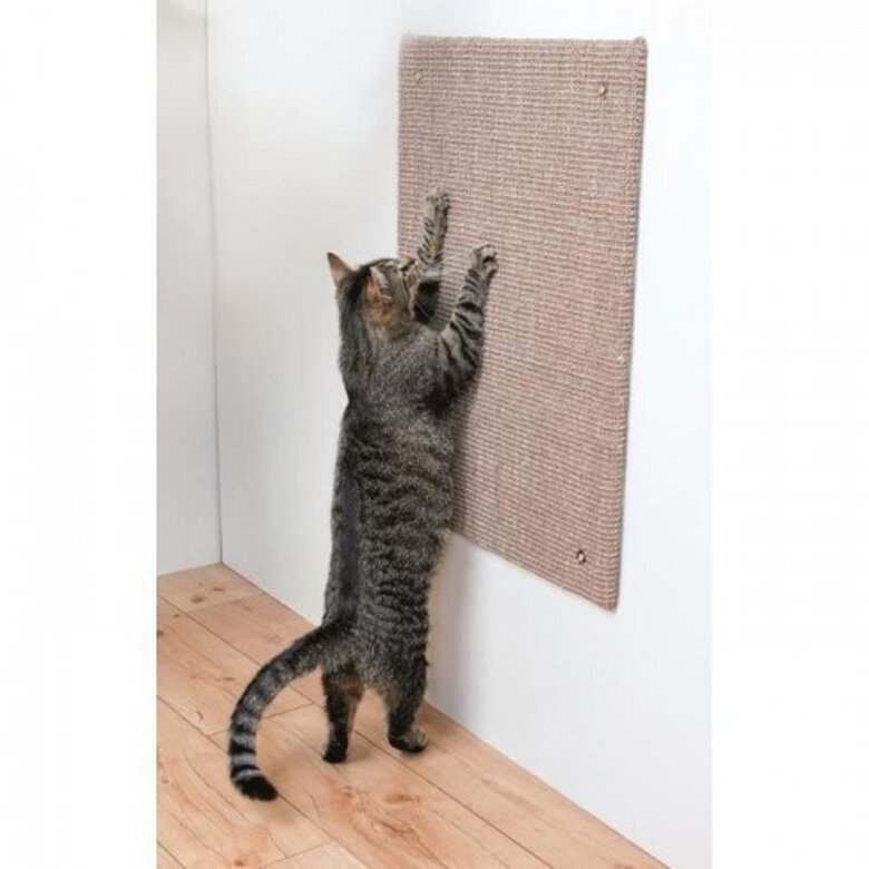 Trixie tabla rascador de sisal con hierba gatera gris para gatos, , large image number null