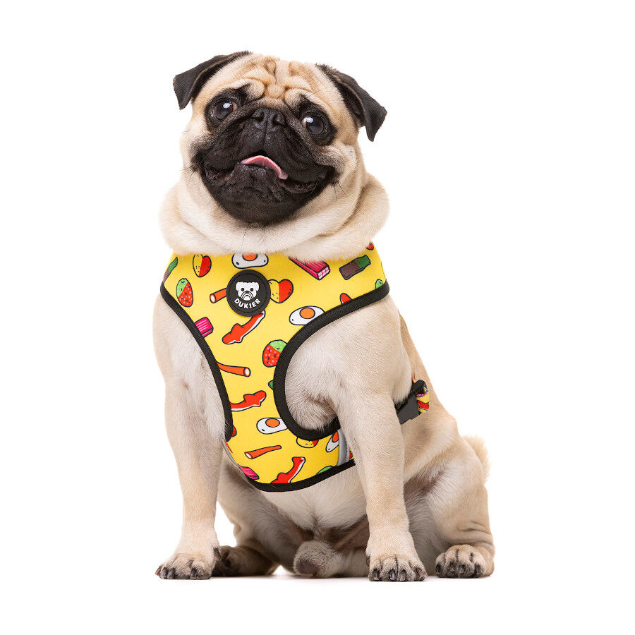 Dukier Sweets Arn&eacute;s reversible para perros, , large Imagen numero 2