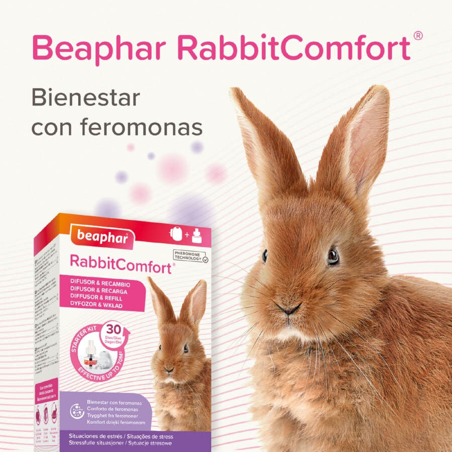 Beaphar RabbitComfort Difusor y Recambio para conejos, , large Imagen numero 7