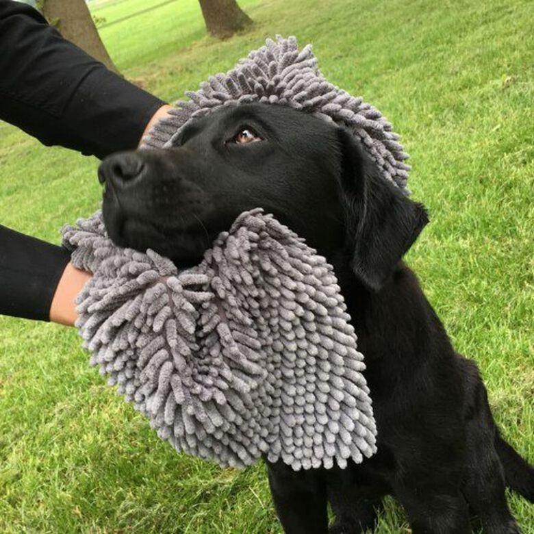 Toalla super absorbente para perro color Gris thumbnail