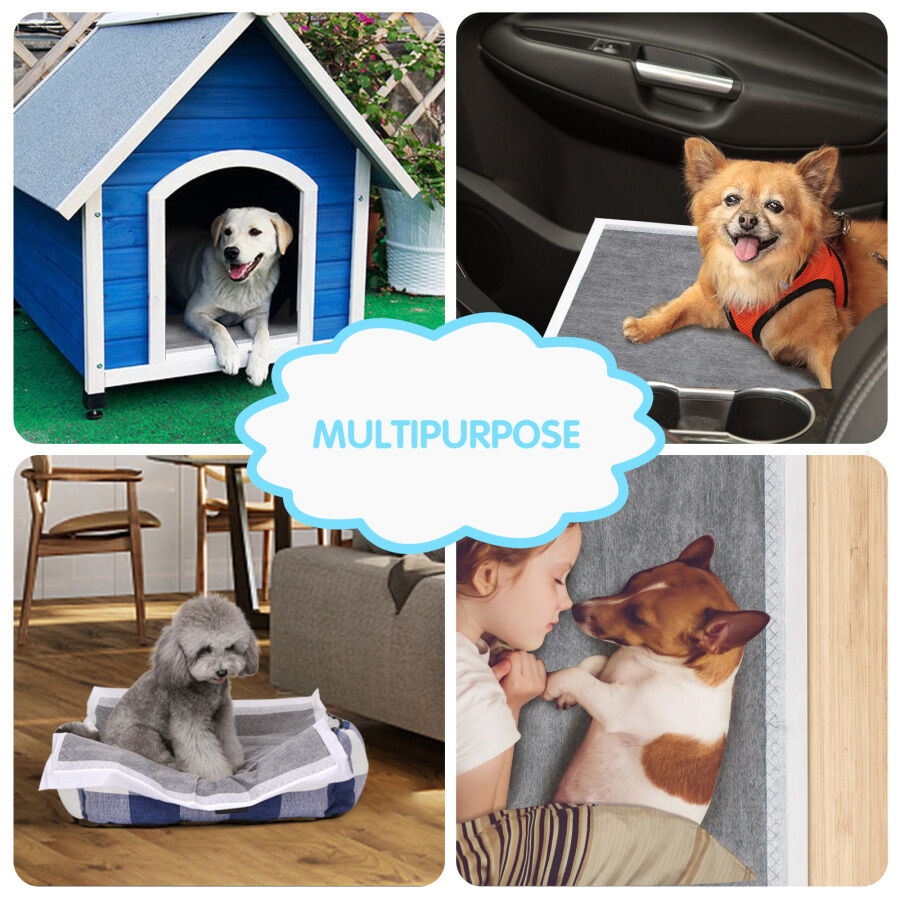 Nobleza 50x Carb&oacute;n Empapadores para Mascotas, Alfombras de Entrenamiento para Perros, Toallitas de Adiestramiento Cachorros, 60 x 60 cm, Tama&ntilde;o Regular, 50 Unidades, , large Imagen numero 5