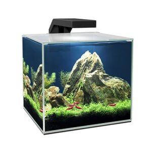 Ciano Set de Acuario Cube Aqua LED Negro