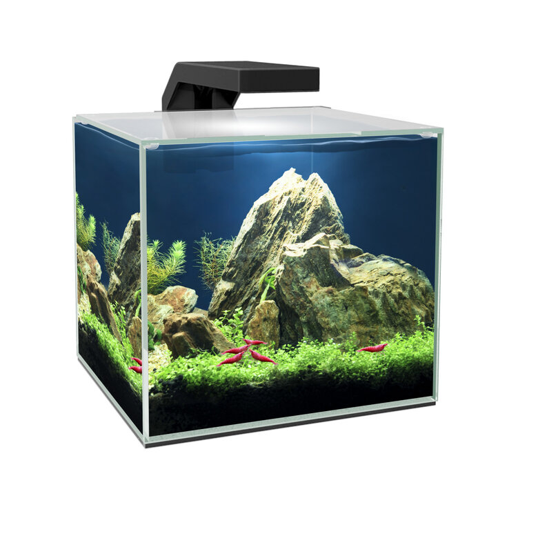 Set de Acuario Cube Aqua LED 15L LED y Filtración Alto Rendimiento, Tapa y Consumibles. Color Negro, , large image number null