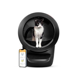 Litter-Robot Arenero Autolimpiable Negro para gatos