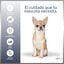 MD-10 Champ&uacute; Hidratante y Dermoprotector para Chihuahua, , large indicador imagen numero 3