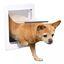 Puerta para perro pequeña color Blanco, , large indicador imagen numero 1