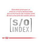Royal Canin Veterinary Early Renal pienso para gatos, , large image number null