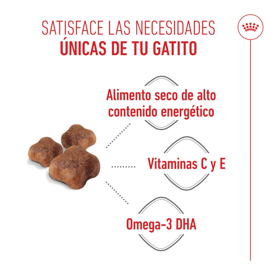 Royal Canin Mother &amp; Babycat pienso para gatos thumbnail