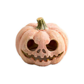 Exo Terra Calabaza Fluorescente