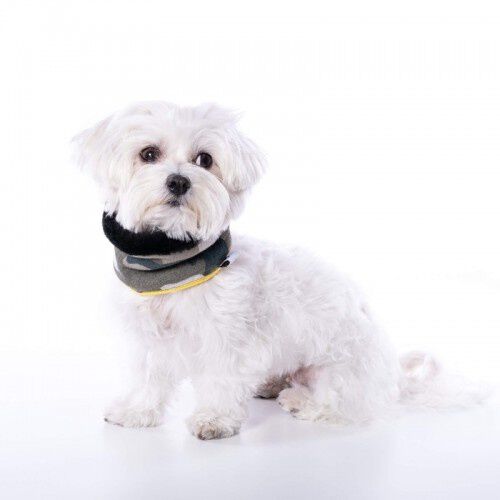 Cuello Uoamy para perros color Camuflaje, , large Imagen numero 3