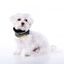 Cuello Uoamy para perros color Camuflaje, , large indicador imagen numero 3