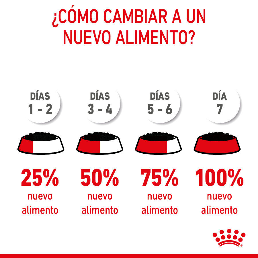 85 g Royal Canin X-Small Puppy Trocitos en Salsa sobre para perros, , large Imagen numero 2