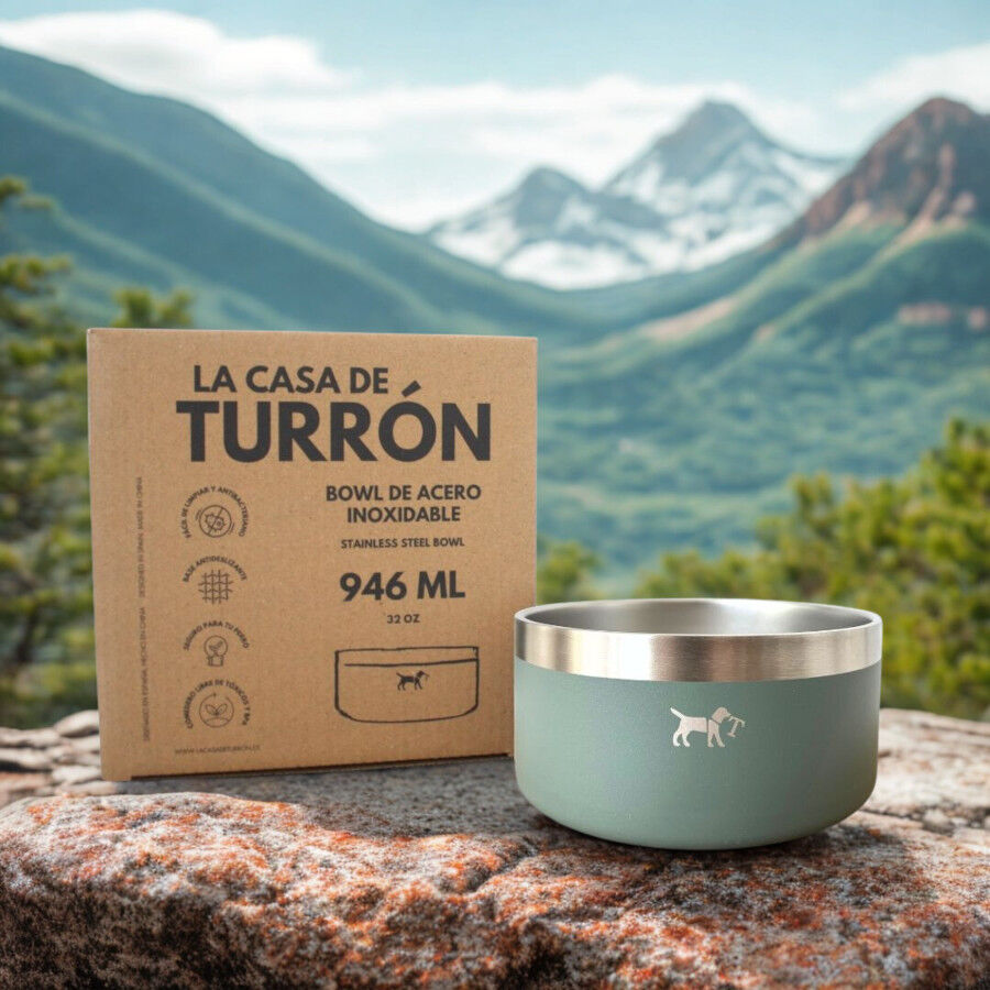 Comedero Alto Doble para Perros y Gatos | Dise&ntilde;o Ergon&oacute;mico, 2 Alturas Disponibles, Antideslizante y Varios Colores - La Casa de Turr&oacute;n, , large Imagen numero 5