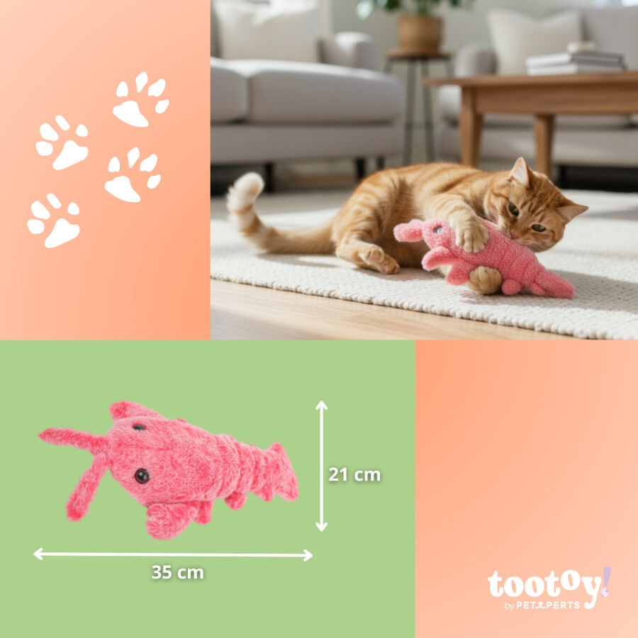 Tootoy! Juguete Interactivo Langosta para gatos, , large Imagen numero 4