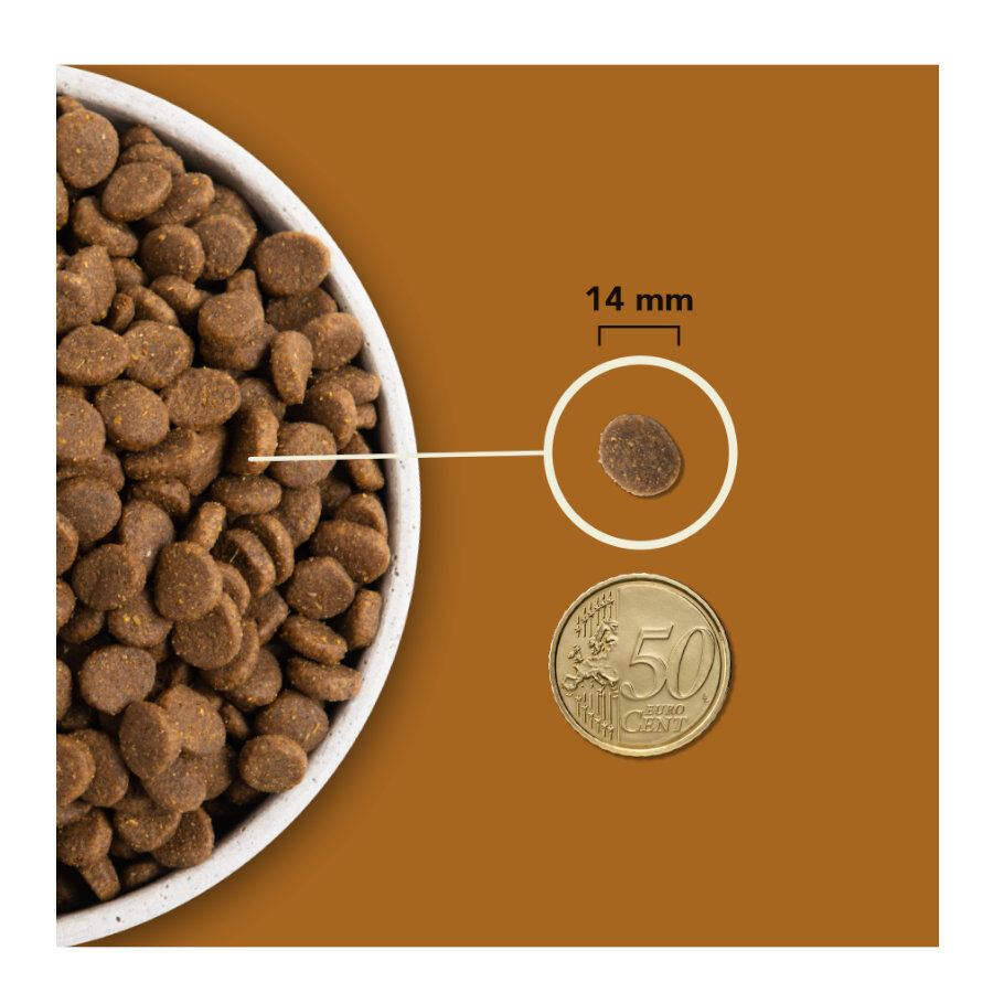 11.4 kg Acana Ranchlands Carnes Rojas pienso para perros, , large Imagen numero 2