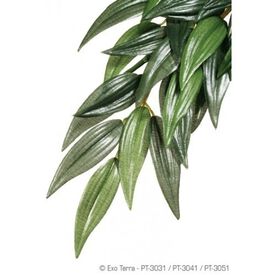 Planta de seda Rucus para reptiles