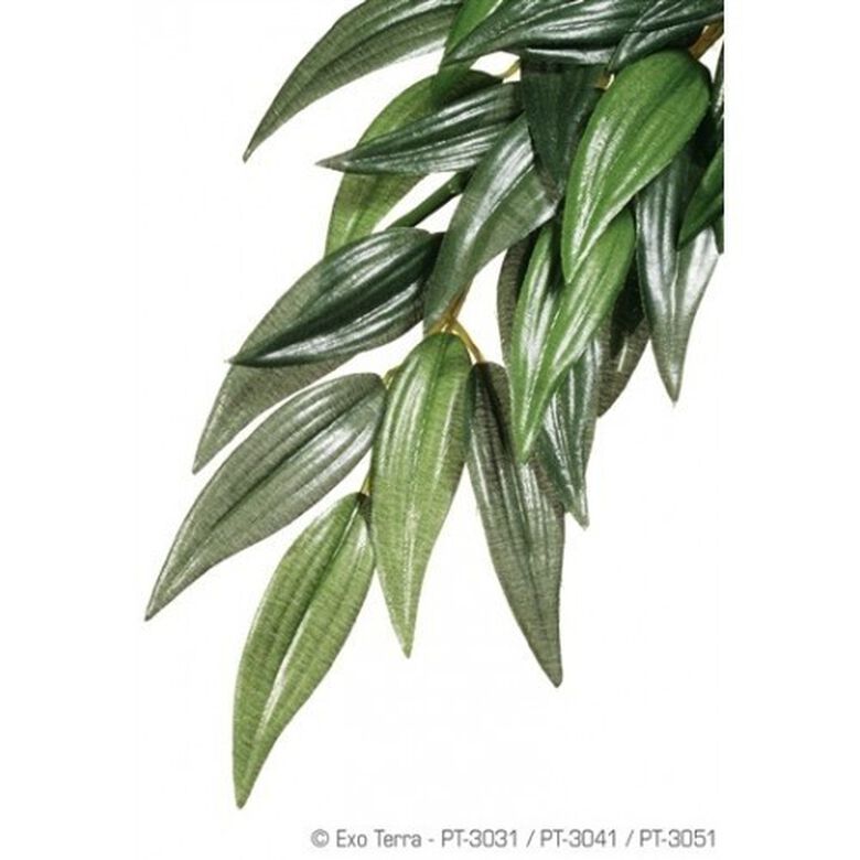 Planta de seda Rucus para reptiles