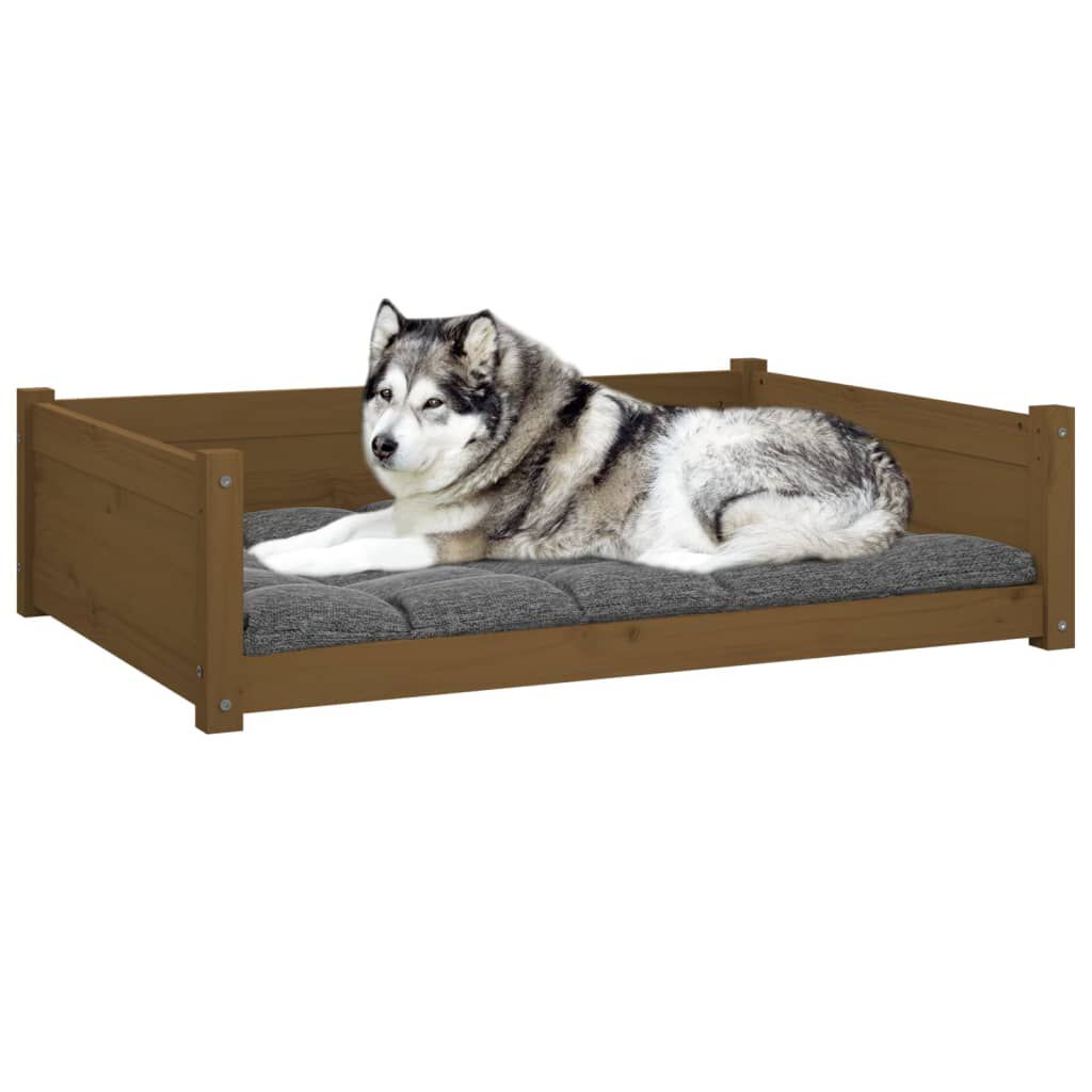 Cama Para Perros, , large Imagen numero 16