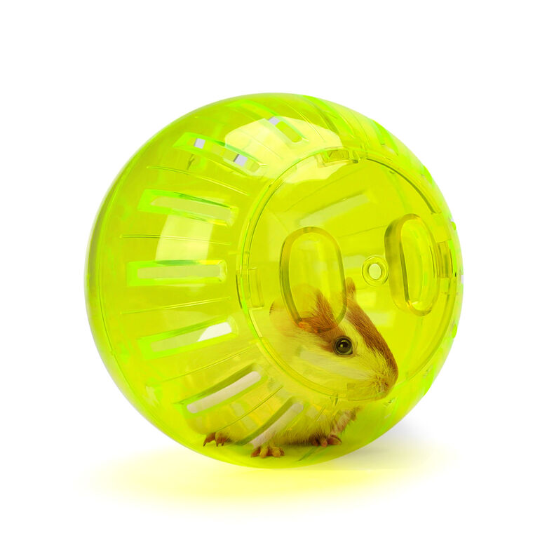 Nobleza Pelota De Ejercicio para hámsters thumbnail