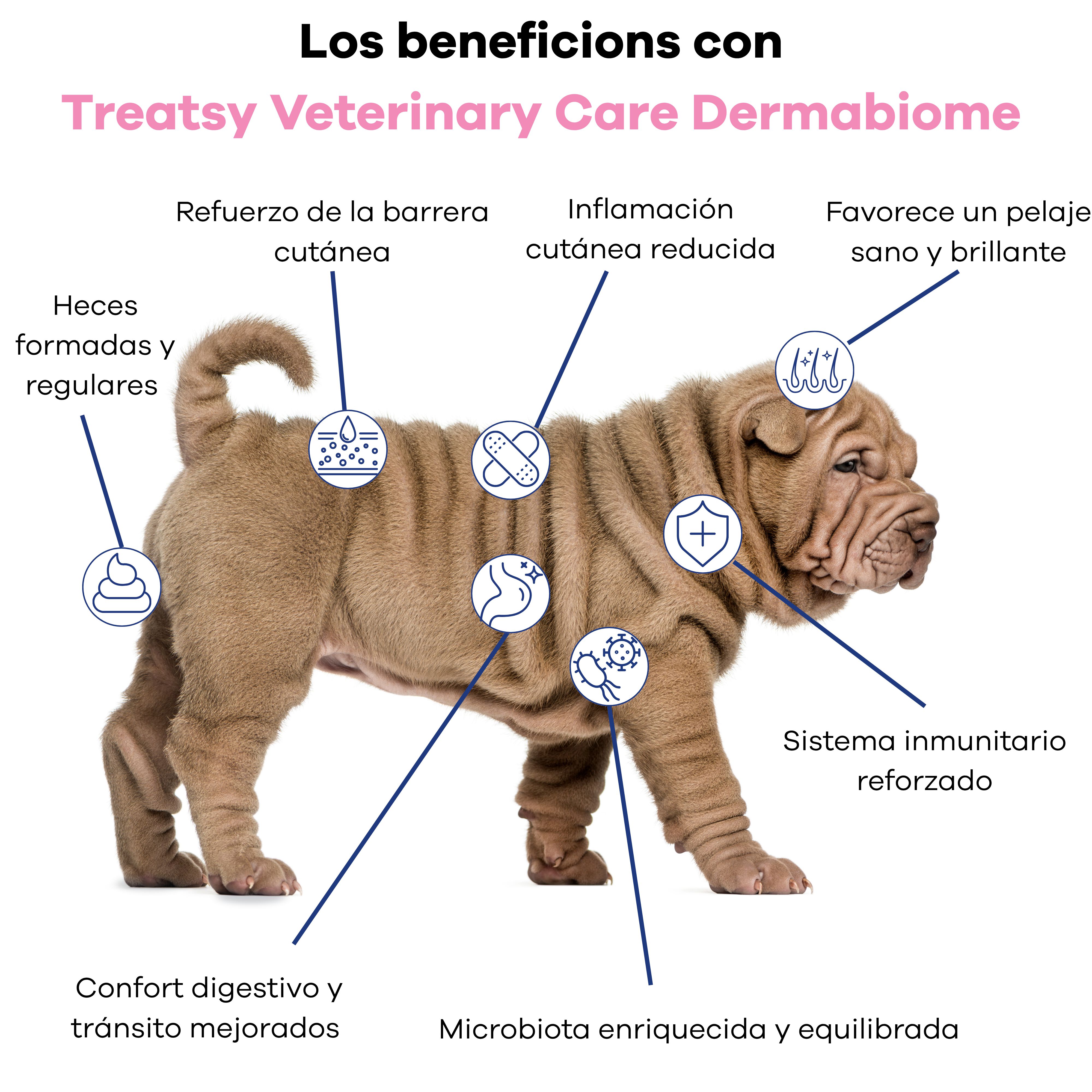 Treatsy DermaBiome Perro &ndash; Complemento Veterinario Alergia, Piel y Microbiota Intestinal &ndash; Probi&oacute;ticos, L-Glutamina, Zinc, Omega-3 GLA &ndash; 60 Snacks &ndash; Hipoalerg&eacute;nico Cordero, , large Imagen numero 3