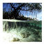 JBL Raíz de Mangrove para decoración de acuarios, , large indicador imagen numero 4