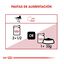85 g Royal Canin Instinctive gelatina sobres para gatos, , large indicador imagen numero 6