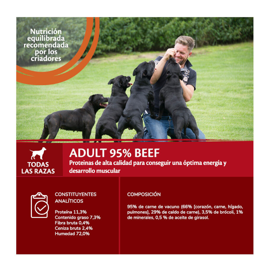 Wellness Core ternera y brocoli lata para perros thumbnail