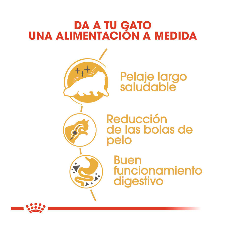 Royal Canin Persian pienso para gato adulto persa thumbnail