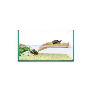 Ica Isla de Repti Selva 30 Tortuguera para reptiles