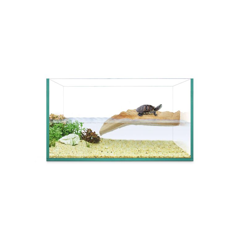 Ica Isla de Repti Selva 30 Tortuguera para reptiles