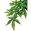 Exo Terra Trixie Planta Abutilon para terrarios, , large indicador imagen numero 2