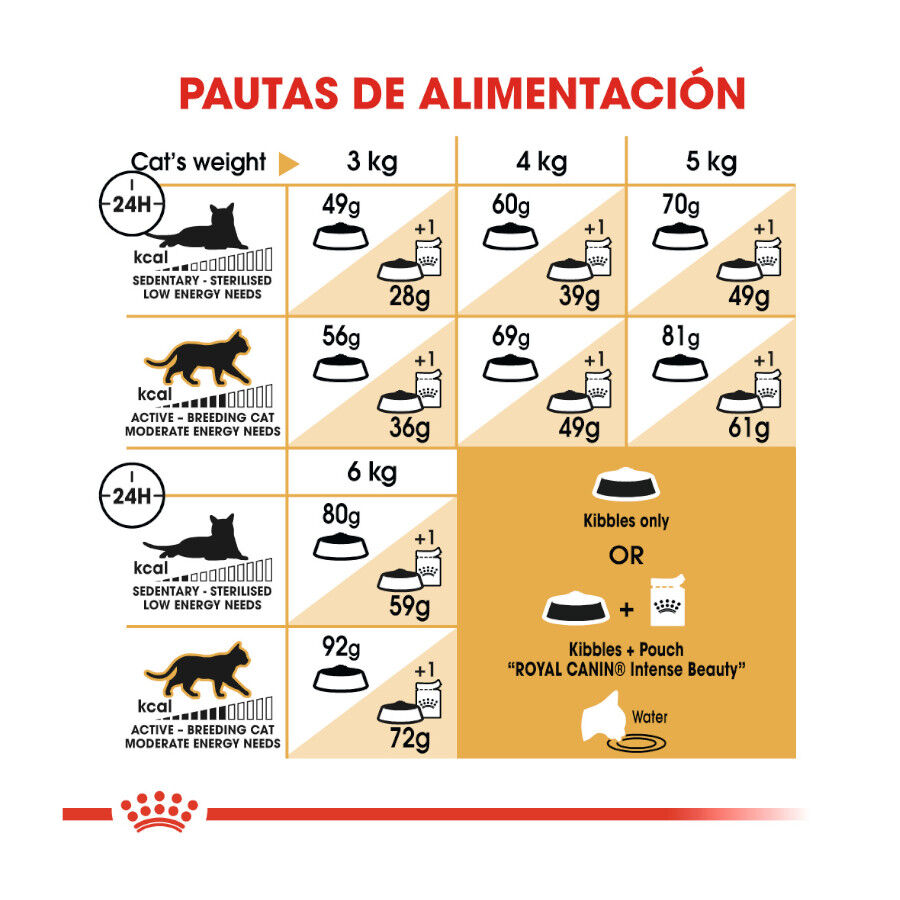 Royal Canin Adult Sphynx pienso para gatos thumbnail