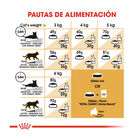Royal Canin Adult Sphynx pienso para gatos, , large image number null