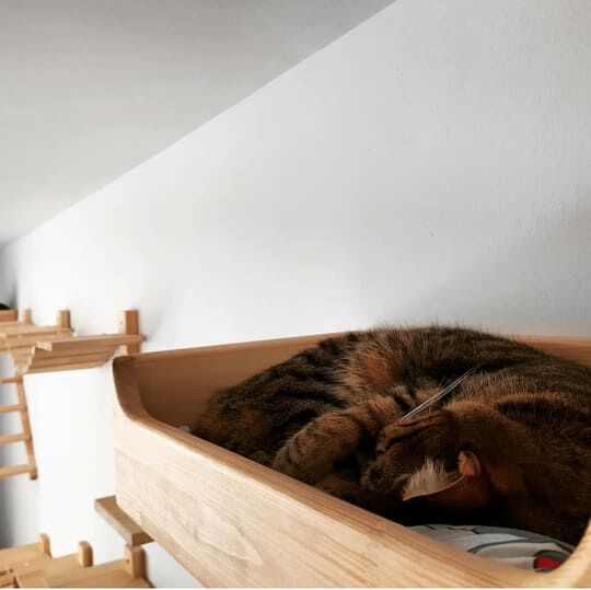 Cama Rectangular, , large Imagen numero 3