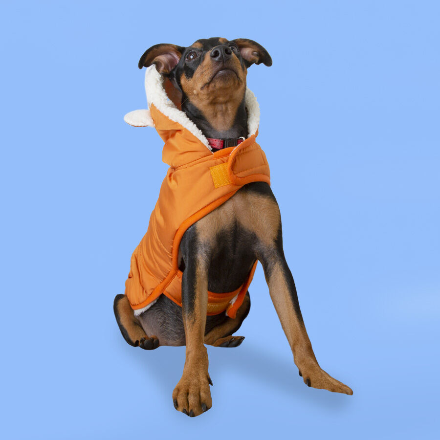 Outech Fox Abrigo para perros thumbnail