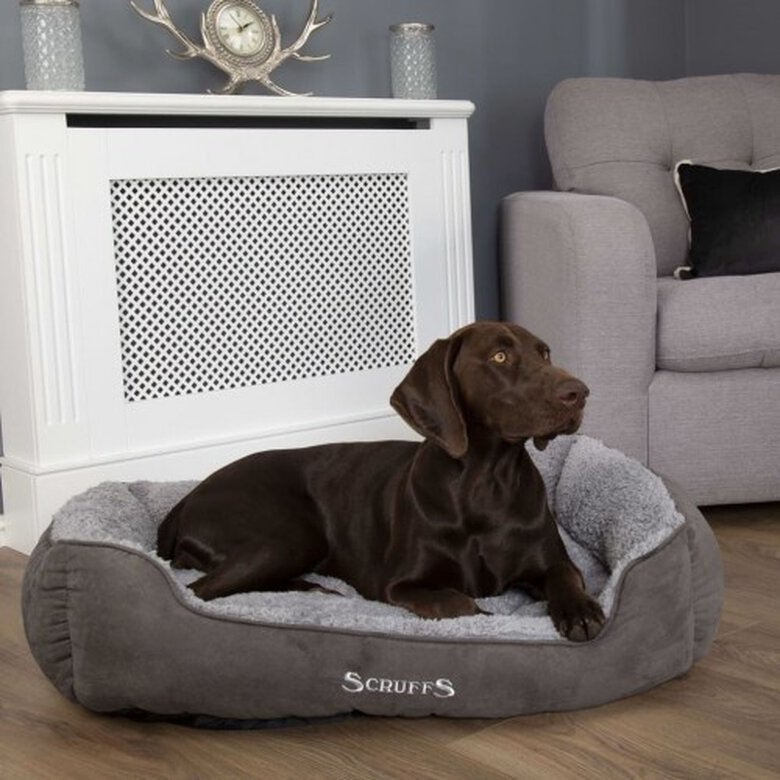 Cama De Mascota color Gris, , large image number null