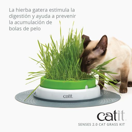 Catit Senses 2.0 Cat Grass Kit, 3uds - Ref. 43162W, , large Imagen numero 2