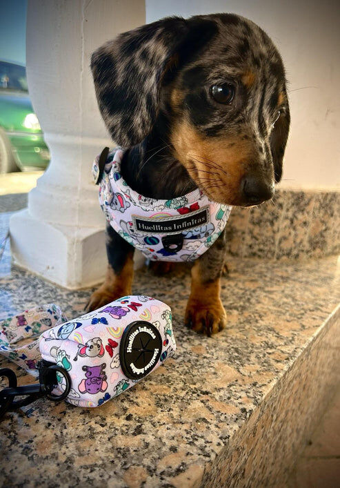 FUNNY ELEPHANTS, , large Imagen numero 3