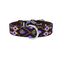 LOYAL COLLAR DE PIEL ARTESANAL TALLA S PARA PERROS, , large indicador imagen numero 1