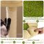 COSTWAY Árbol para Gatos de Bosque, Torre Multinivel con Condo Tronco, Plataforma Floral Acolchada, Rascador de Sisal y Juguetes, Centro de Actividades para Gatitos y Adultos, Verde + Marrón, , large indicador imagen numero 4
