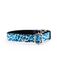 Pamppy funny collar leopardo azul para perros, , large indicador imagen numero 2