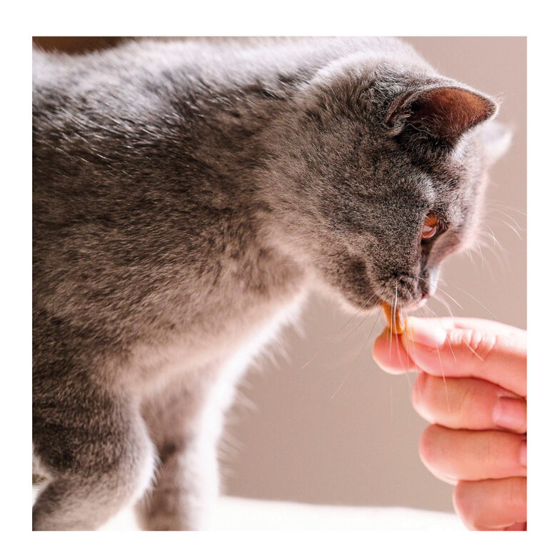 Beaphar Snacks Dentales para gatos , , large image number null