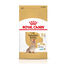 Royal Canin Ageing Yorkshire +8 1,5 kg indicador imagen numero 2