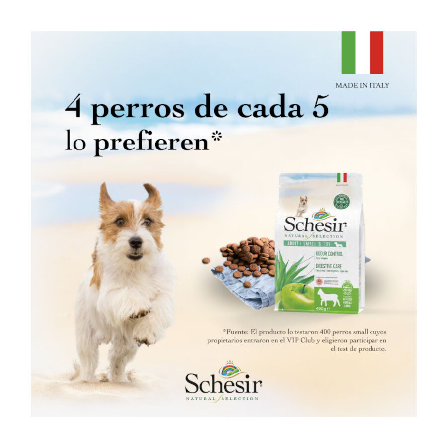2.24 kg Schesir Adult Small&Toy Natural Selection Pavo pienso para perros, , large Imagen numero 5