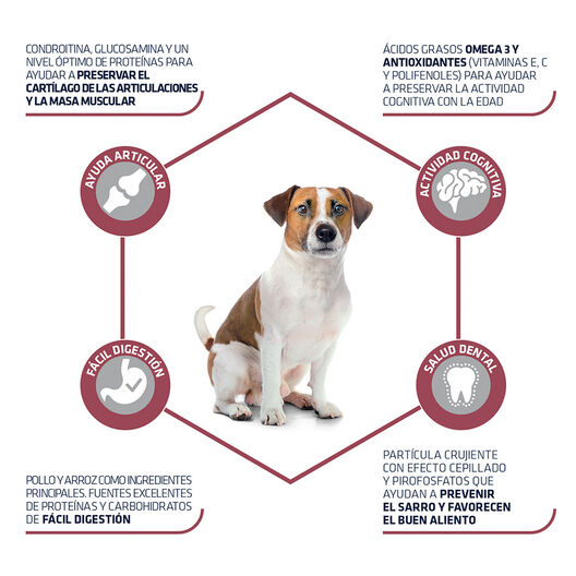 pienso_perros_affinity_advance_adult_mini_senior_beneficios_ADV547119_M.jpg image number null