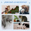 PawHut Árbol para Gatos Gris, , large indicador imagen numero 4