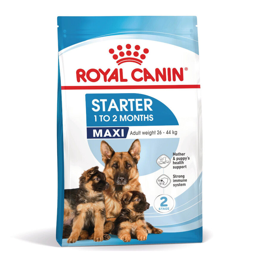 Royal Canin Starter MotheryBaby Maxi pienso para perros thumbnail