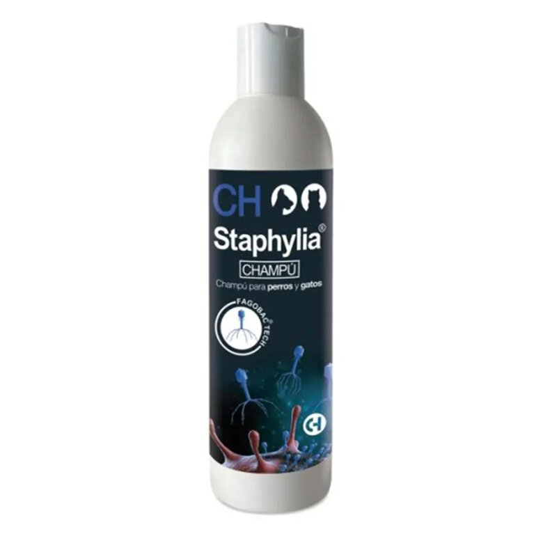 Staphylia Champú 250 ml antibacteriano para perros y gatos Chemical Ibérica